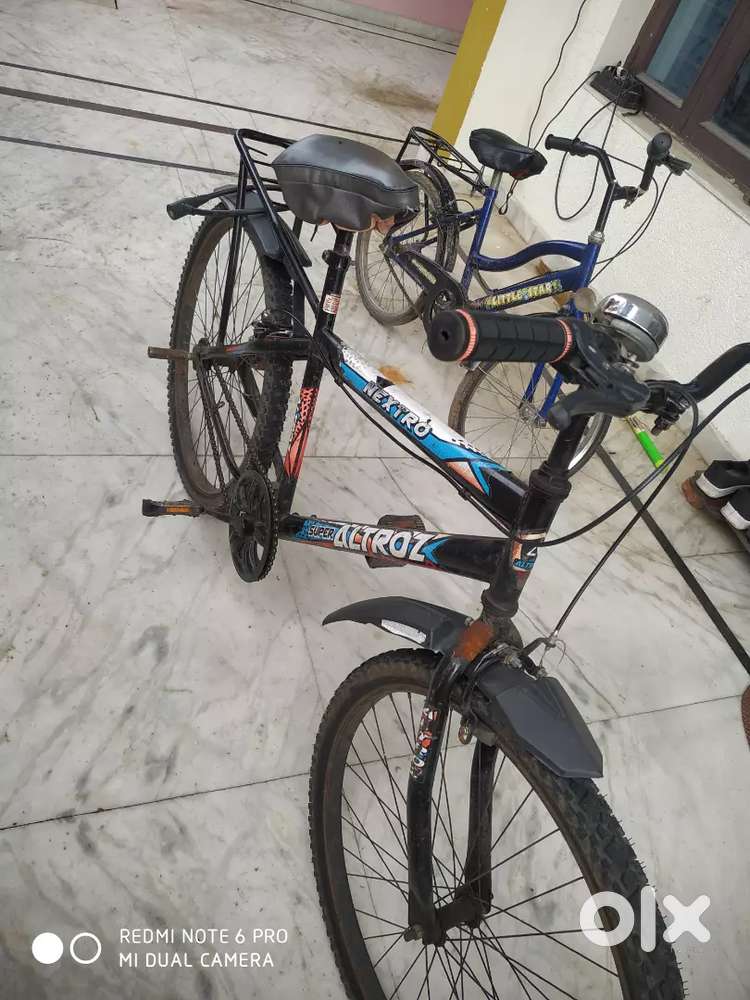 Urgent sale 4 month old