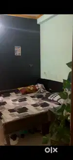 Alpha 2 needed a flatmate