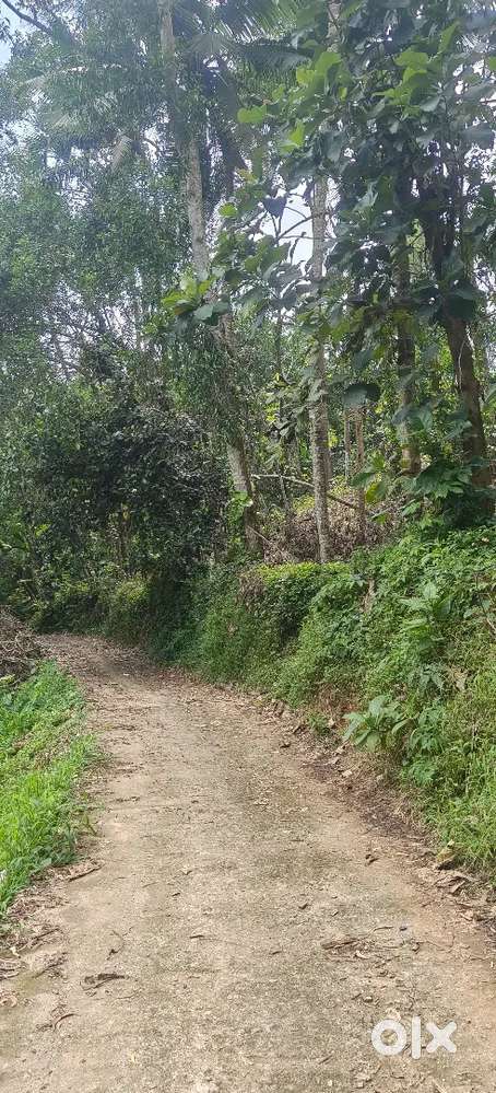 House plots Malayinkeezhu manappuram