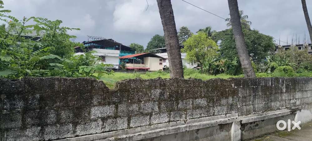 Eranakulam town near south railway station 1acr commercial plot