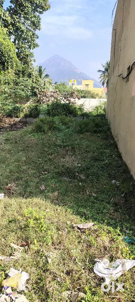 1200sqt patta land , Tiruvannamalai