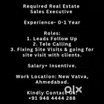 Real Estate Sales Executive