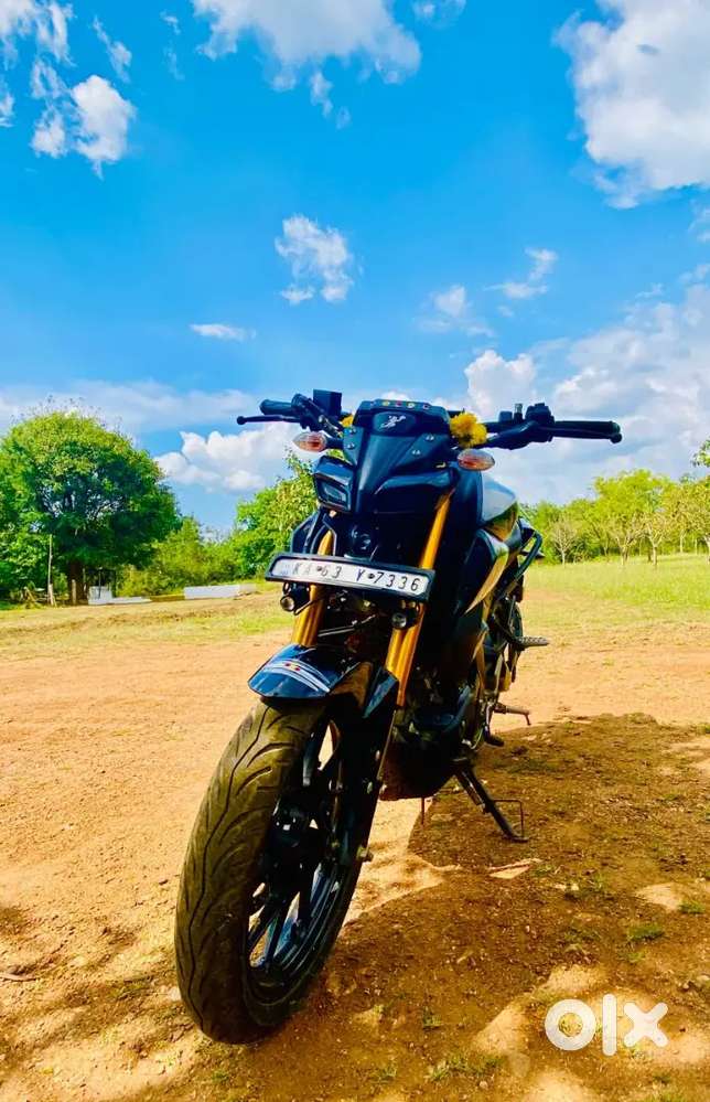 It's have back carrier