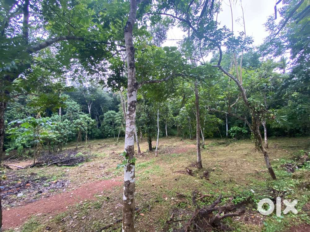 15 acre land near Kalloopara Engineering College