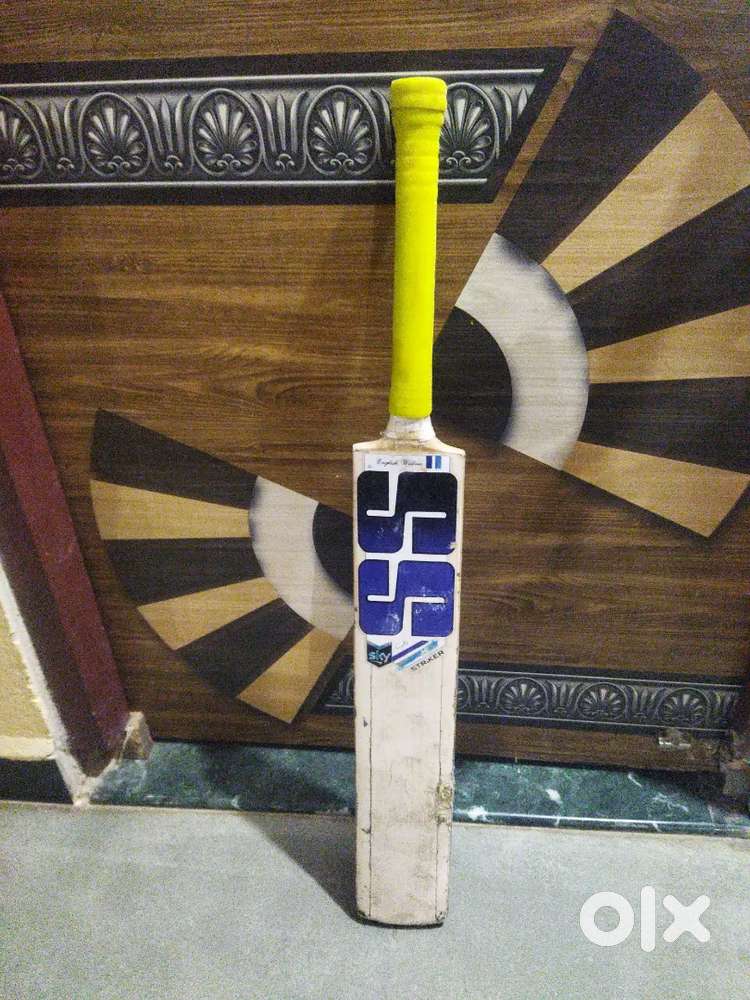 SS cricket bat