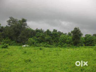 5ACRES-24LAKHS PER ACRE-DHASI PALLU MURBAD LOCATION
