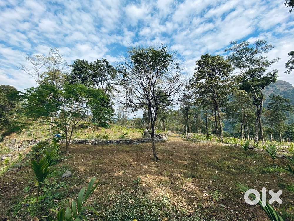 Tribal land 340 decimal in BUNGKULunG