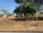 282 sq yd, RHB, East, Residential plot for sale at Indira Gandhi Nagar