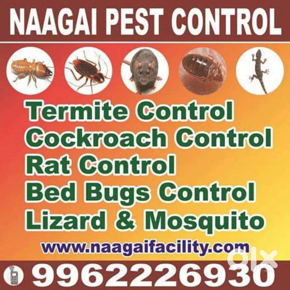 Wanted pest control operator Rs 500/- per day