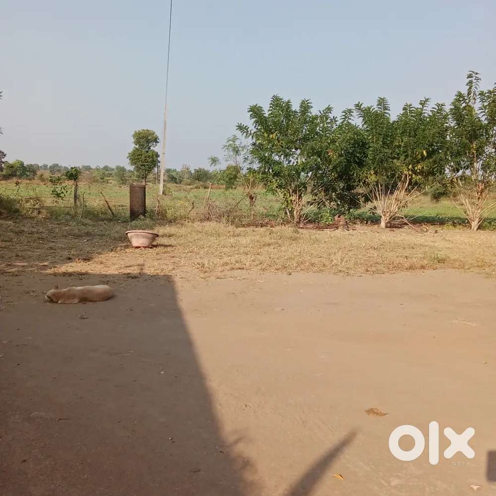 70 eakr land for sale at dhanora kokate dist Amravati tq Amravati