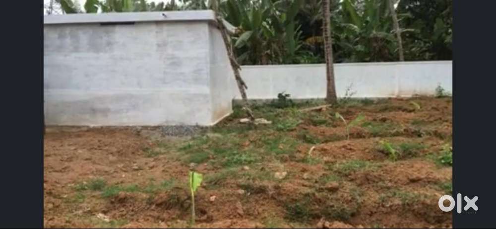 Residential Land for Sale - Mattathur