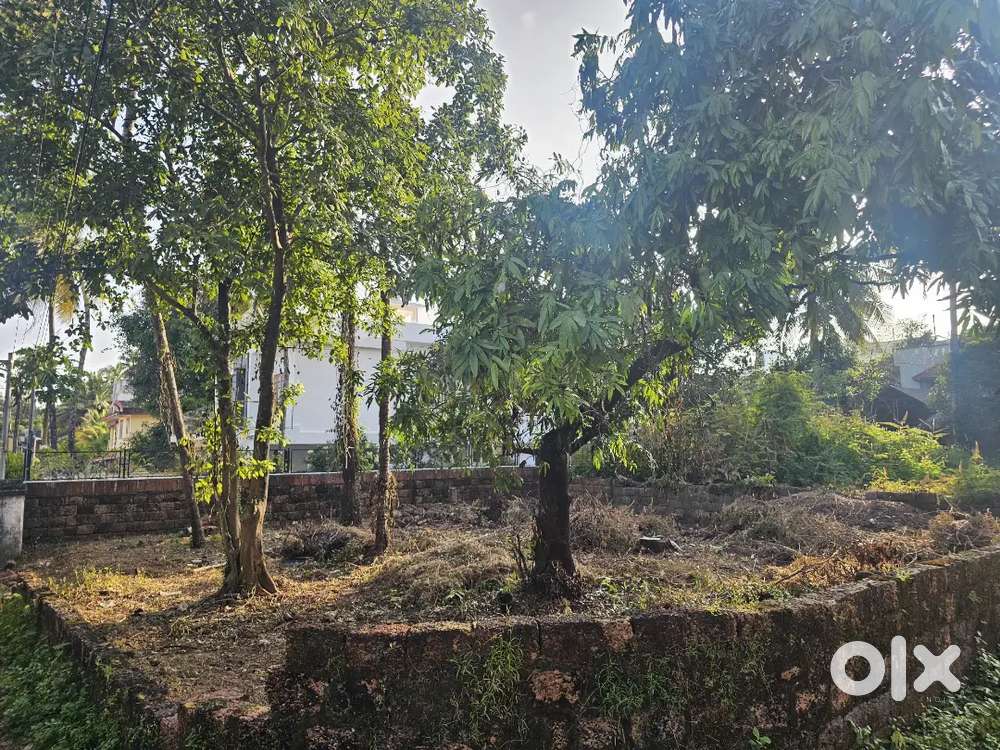 6.5 CENT NORTH-EAST FACING PRIME PLOT- THALAP - JOHN MILL RD - 13 LAKH