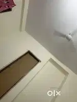 Searching for room mate NEAR LLYOD LAW COLLEGE