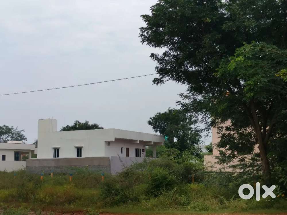 BUJA BUJA NELLORE RAO,S COLLEGE MAIN ROAD SIDE 33 ANK SITE