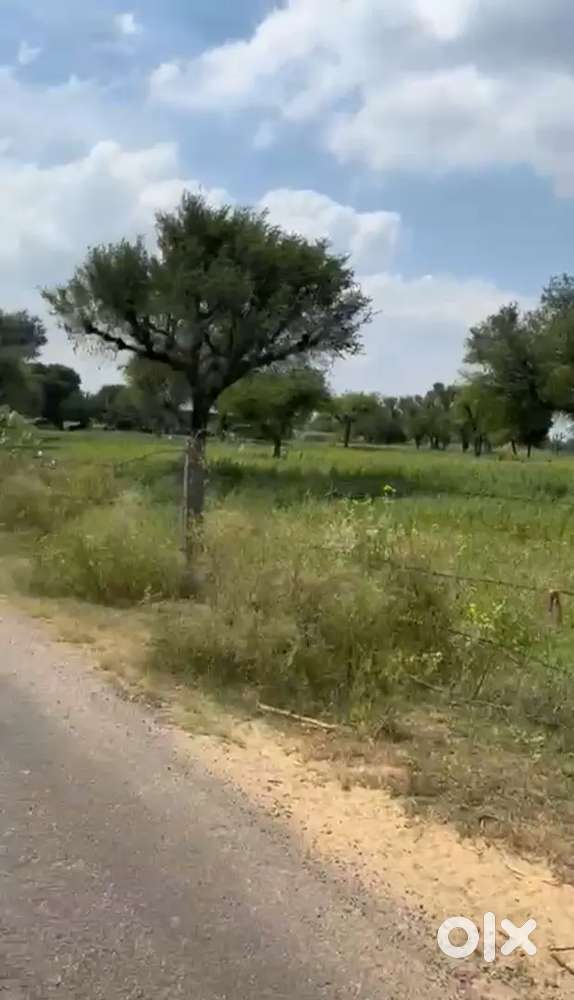 Nimeda,bindayka,sirsi road plot,Jaipur