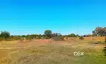 Buy Plot Get Rent 12000