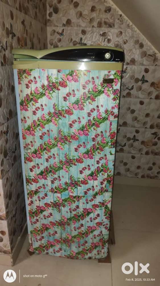 Fridge /Refregerator