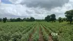 1 acre near Chevella