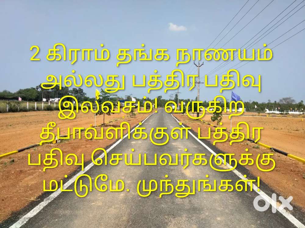 இரண்டு கிராம் தங்க நாணயம் இலவசம்!