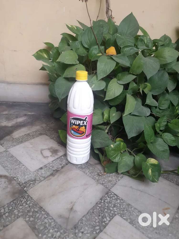 Marketing executive for my business of cleaning products