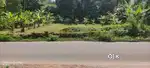 Land for lease