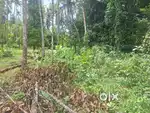 Valaboor 6,7 cent houseplot busrout 250 mtr open well availbk