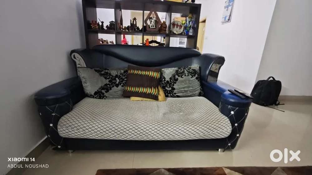 Luxury Sofa cum Couch  2 seater