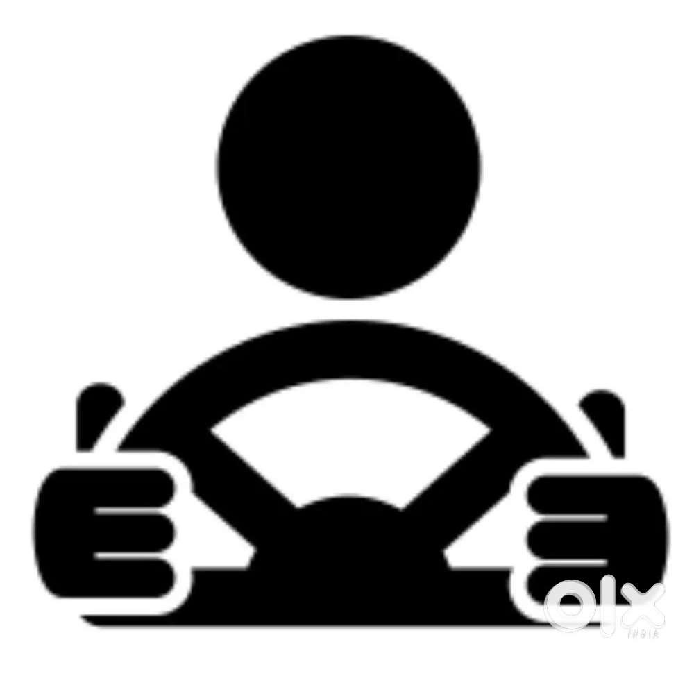 private driver with car&without car-hourly monthly-experienced drivers