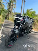 Pulsar N160 Dual Channel ABS