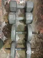 5 kg 4 dumbbell