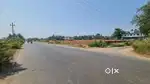 10000SQMT ORCHARD PLOT AVAILABLE FOR SALE IN DHARGAL PRIME LOCATION