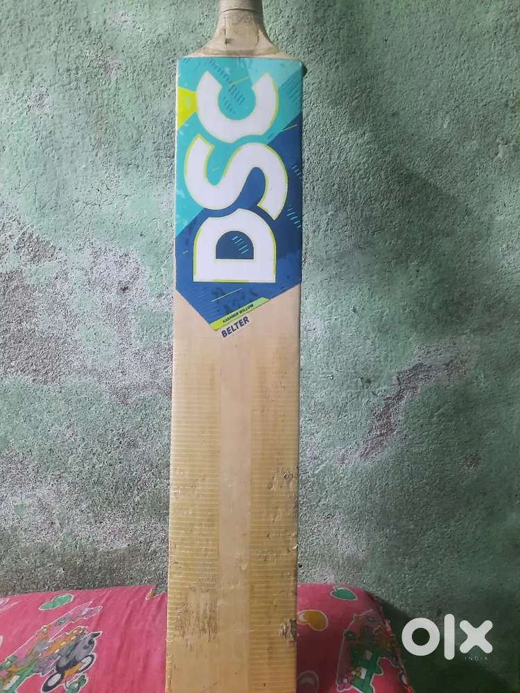 Dsc belter kashmir willow cricket bat