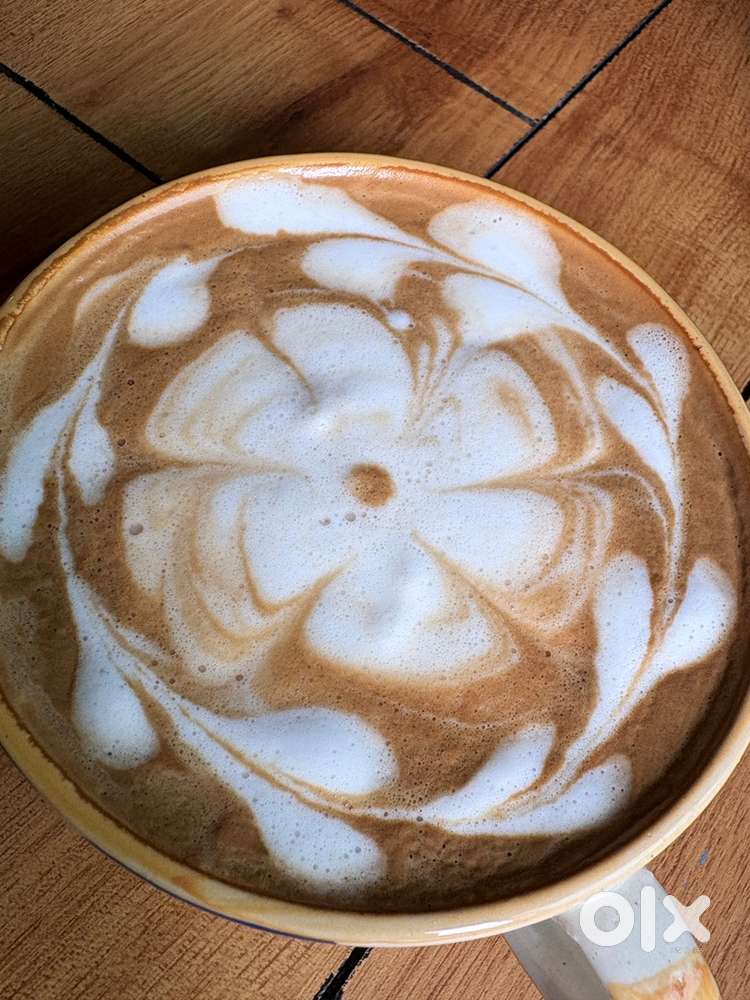 Need a chef who can cook everything if taught skills should be sharp