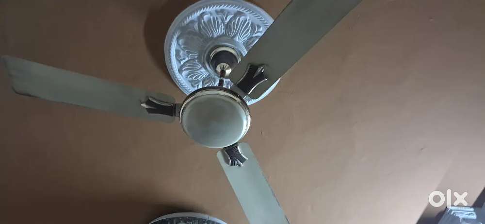 Ceiling fan and jhumar