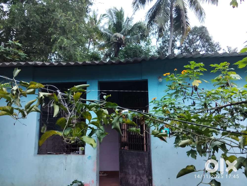 Plot for sale small house and frame