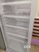 Elanpro ECG 406 400 Litres Refrigerator