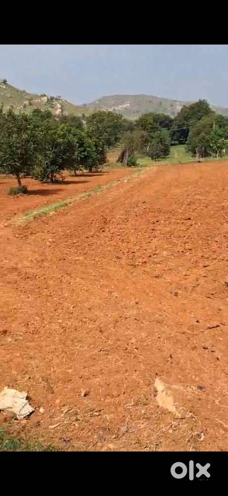 5 plots for sale , only 1 need to sell
