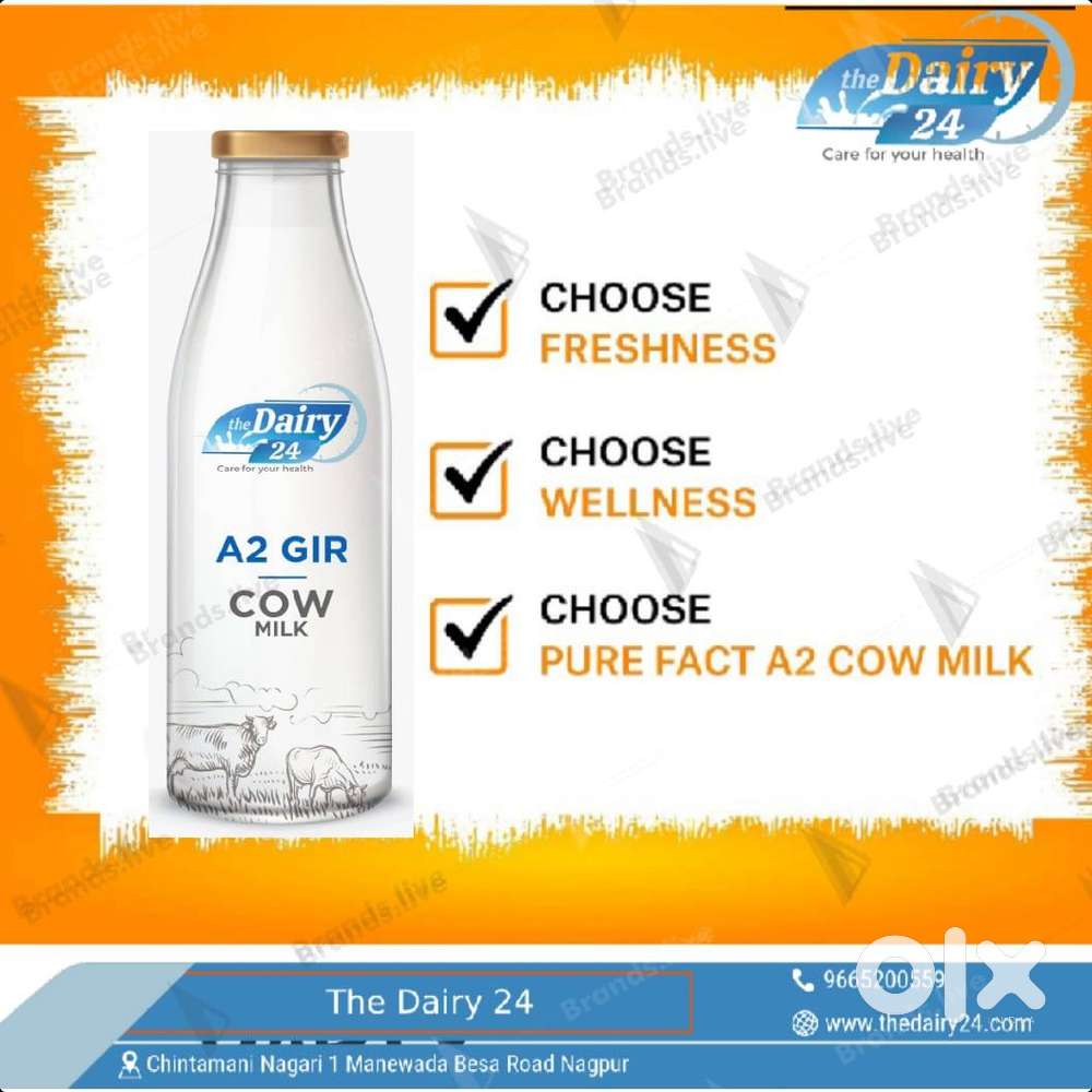 The Dairy 24