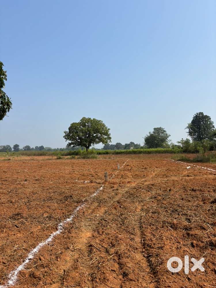 Koilsuta ganeral plot new ploting