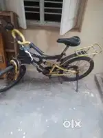 This cycle is new model only
