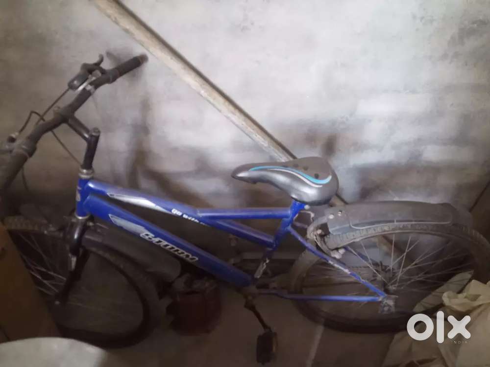 Blue colour cycle. Bought a scooter so no more useful