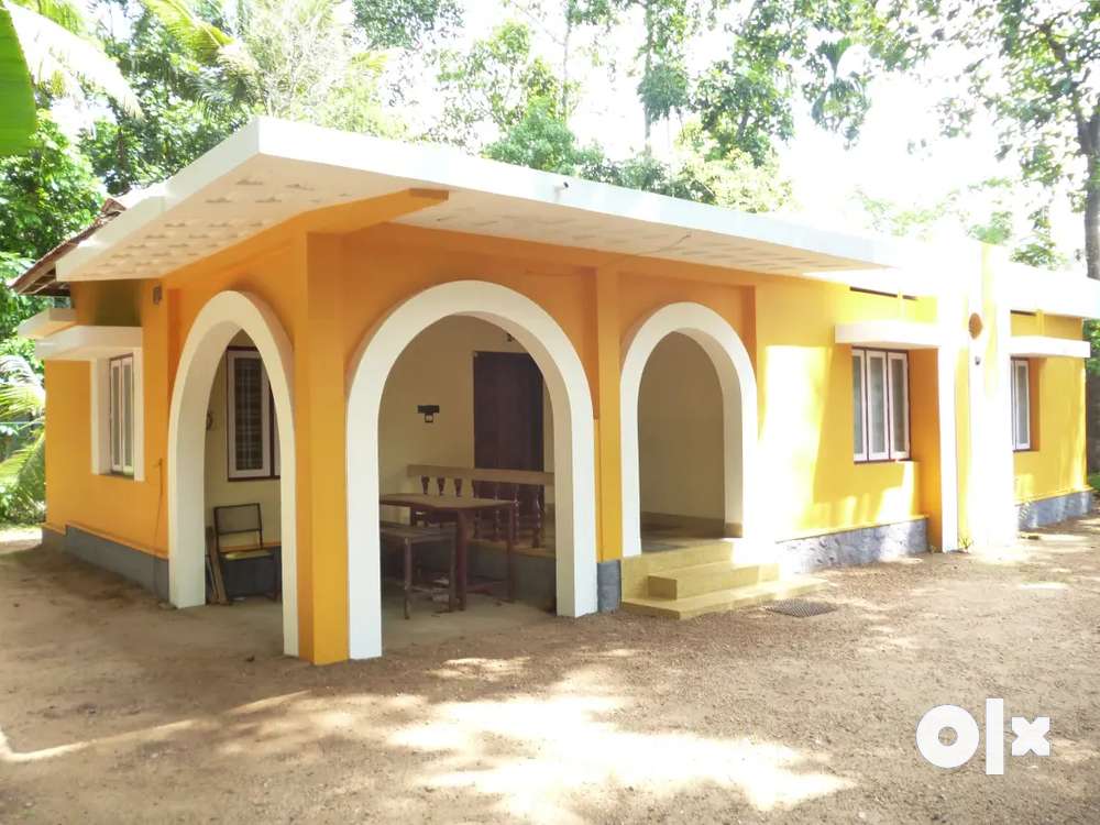 45 cent plot and house for sale in mannanam