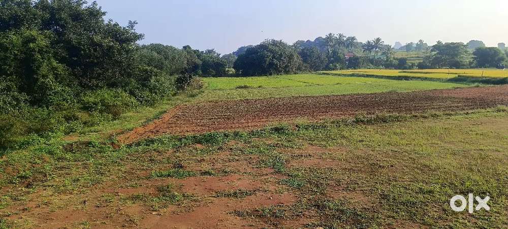 Emergency sell,my going to native place