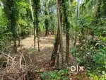 Perfect land for residential