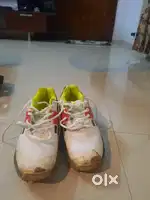 Grey nicolls spikes