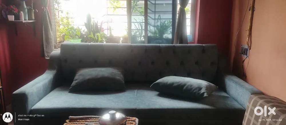 Sofa cum bed