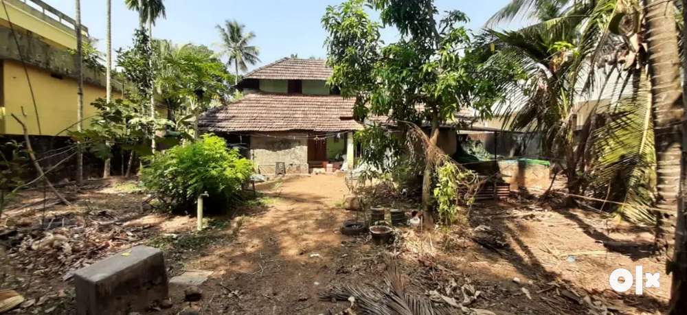 16 cent plot with old home sale near koorkanchery. Near mainroad