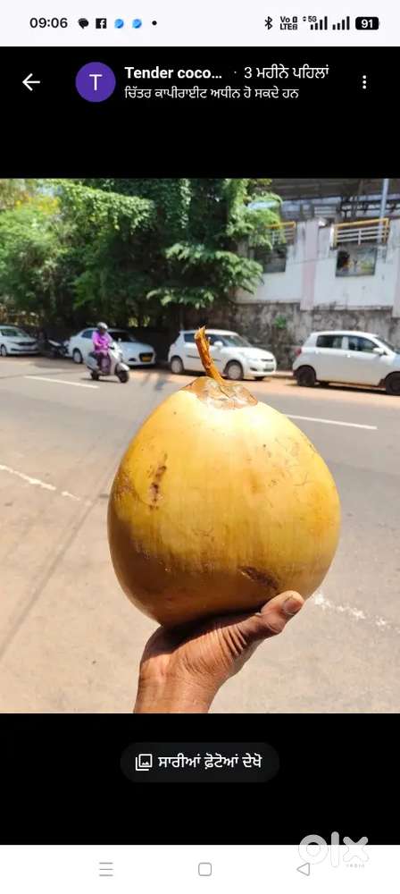 Tender coconut cuting