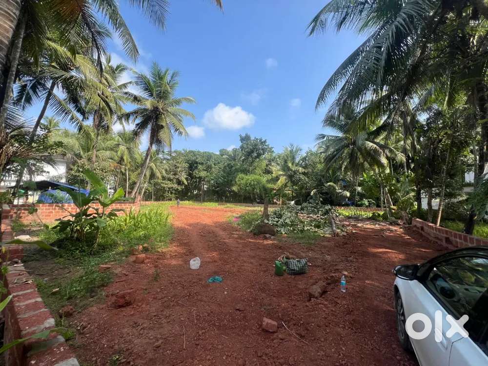 7.5cent Housing Plot at kannapuram Yogashala