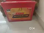 Inverter battery
